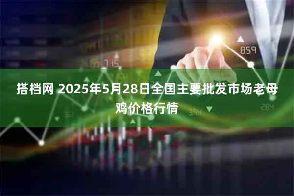 搭档网 2025年5月28日全国主要批发市场老母鸡价格行情