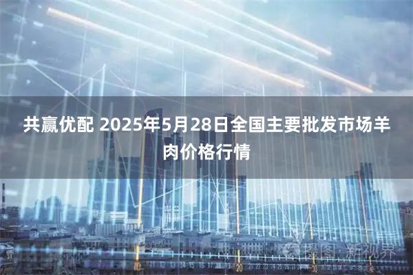 共赢优配 2025年5月28日全国主要批发市场羊肉价格行情