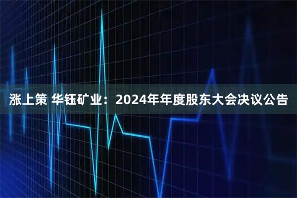 涨上策 华钰矿业：2024年年度股东大会决议公告