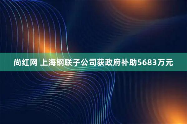 尚红网 上海钢联子公司获政府补助5683万元