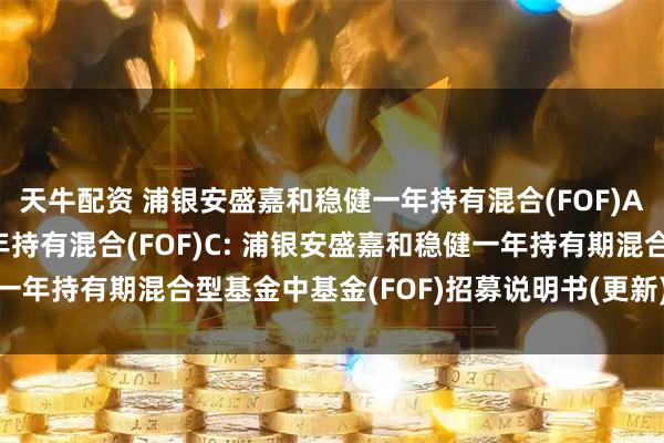 天牛配资 浦银安盛嘉和稳健一年持有混合(FOF)A,浦银安盛嘉和稳健一年持有混合(FOF)C: 浦银安盛嘉和稳健一年持有期混合型基金中基金(FOF)招募说明书(更新)2025年第1号