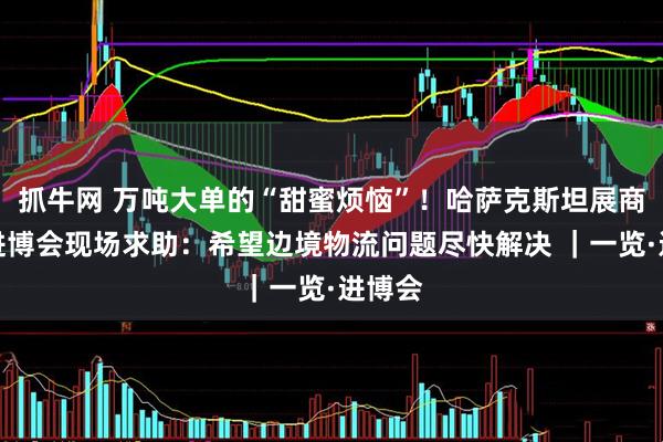 抓牛网 万吨大单的“甜蜜烦恼”！哈萨克斯坦展商首赴进博会现场求助：希望边境物流问题尽快解决 ｜一览·进博会